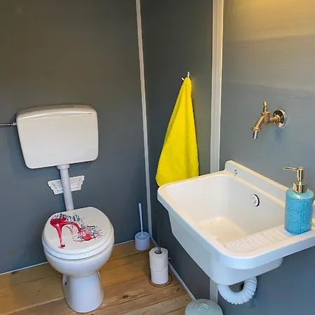 Estera Tent Camping Glamping *